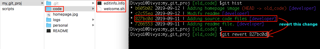 reverse the effect of an older commit- common git mistakes -Edureka