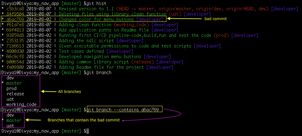 Branches with bad commit id - common git mistakes -Edureka