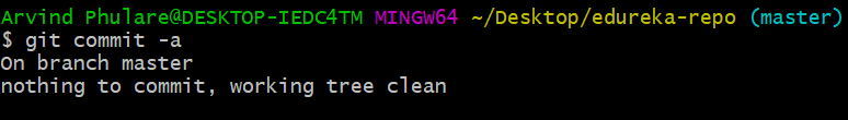 git commit -a