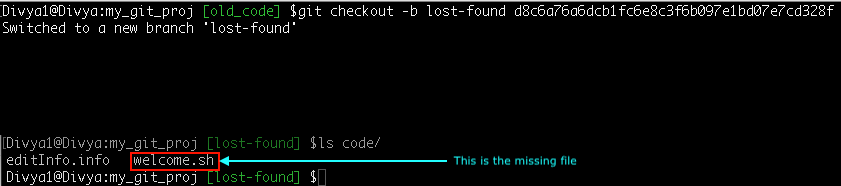 missing file now on the new branch - common git mistakes -Edureka