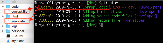 latest commit that has wrong data- common git mistakes -Edureka