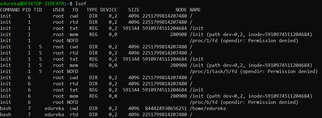 List all files opened by a user