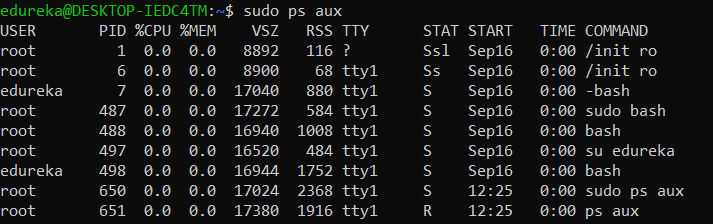 ps-linux commands in devops