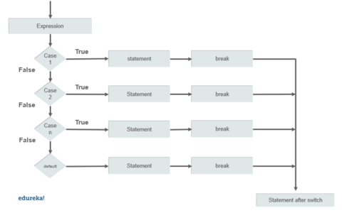 switch-case-in-php