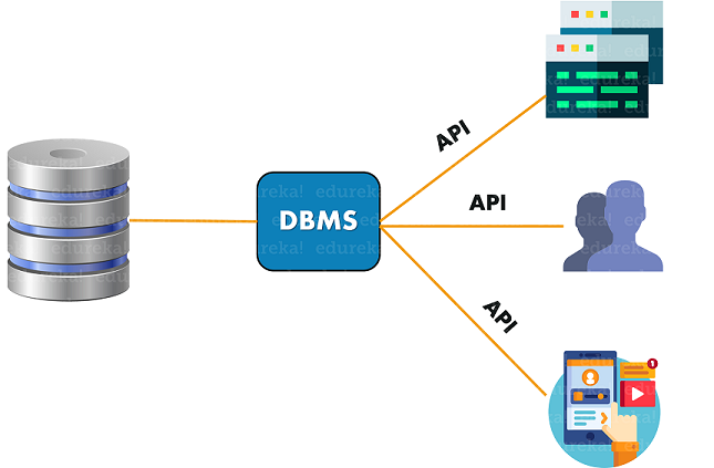 DBMS - What is DBMS - Edureka