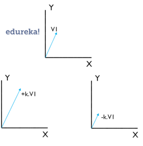 scalar multiplication 