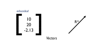 vectors