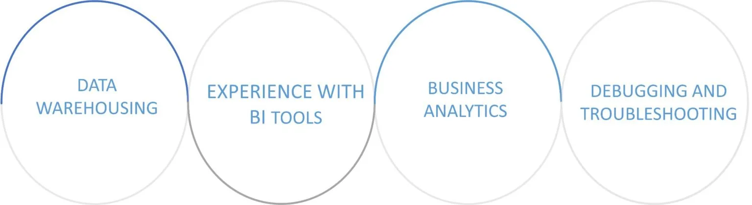BI Developer Skills