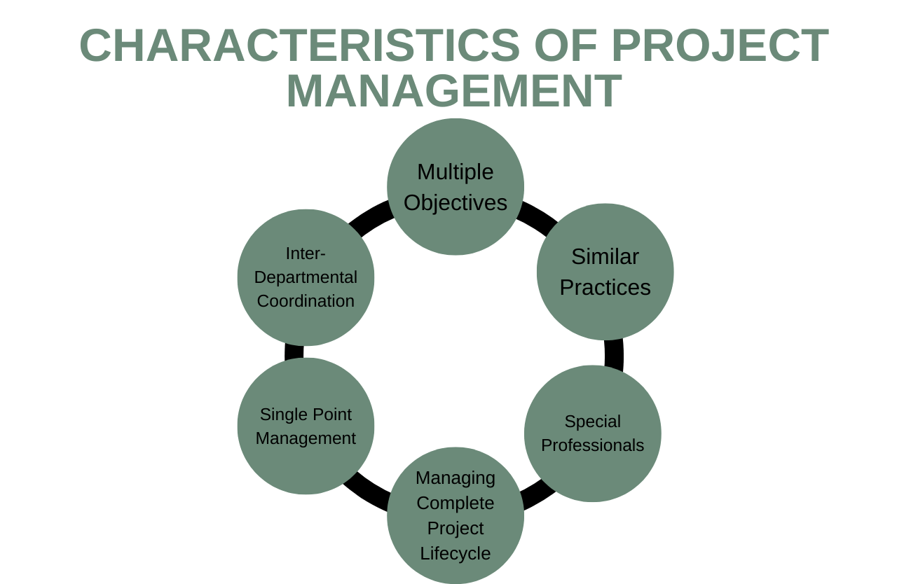 Characteristics of Project Management