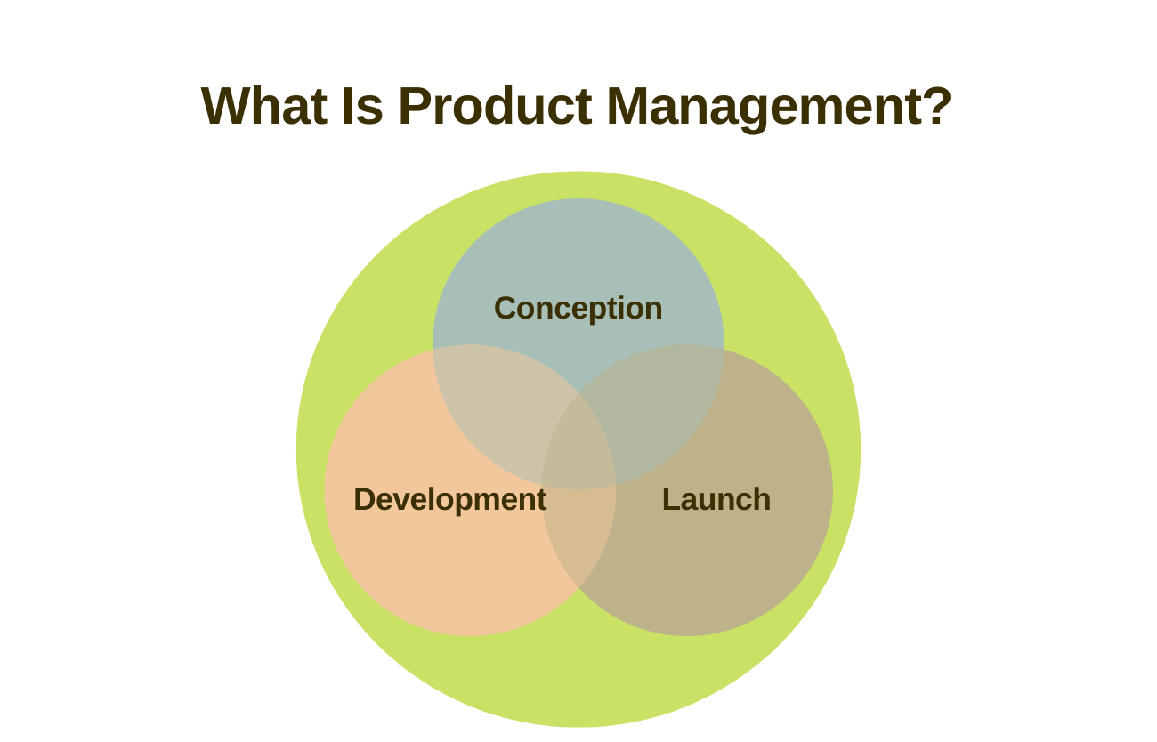 is product management a good career: What is product management?