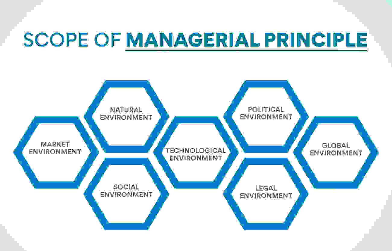 Scope of Managerial Principle