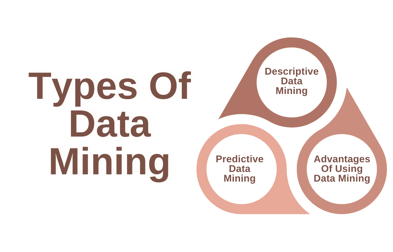 Describing data