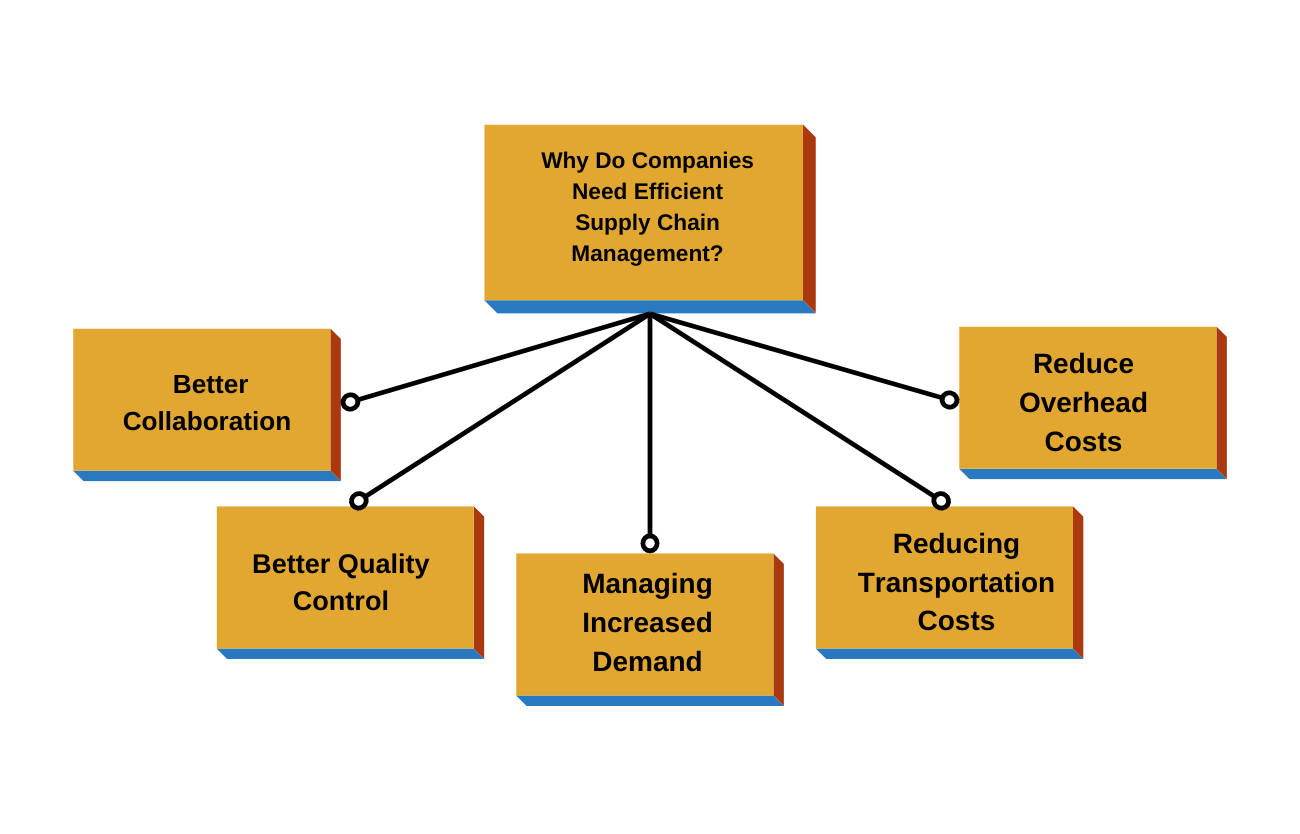 Why Do Companies Need Efficient Supply Chain Management?