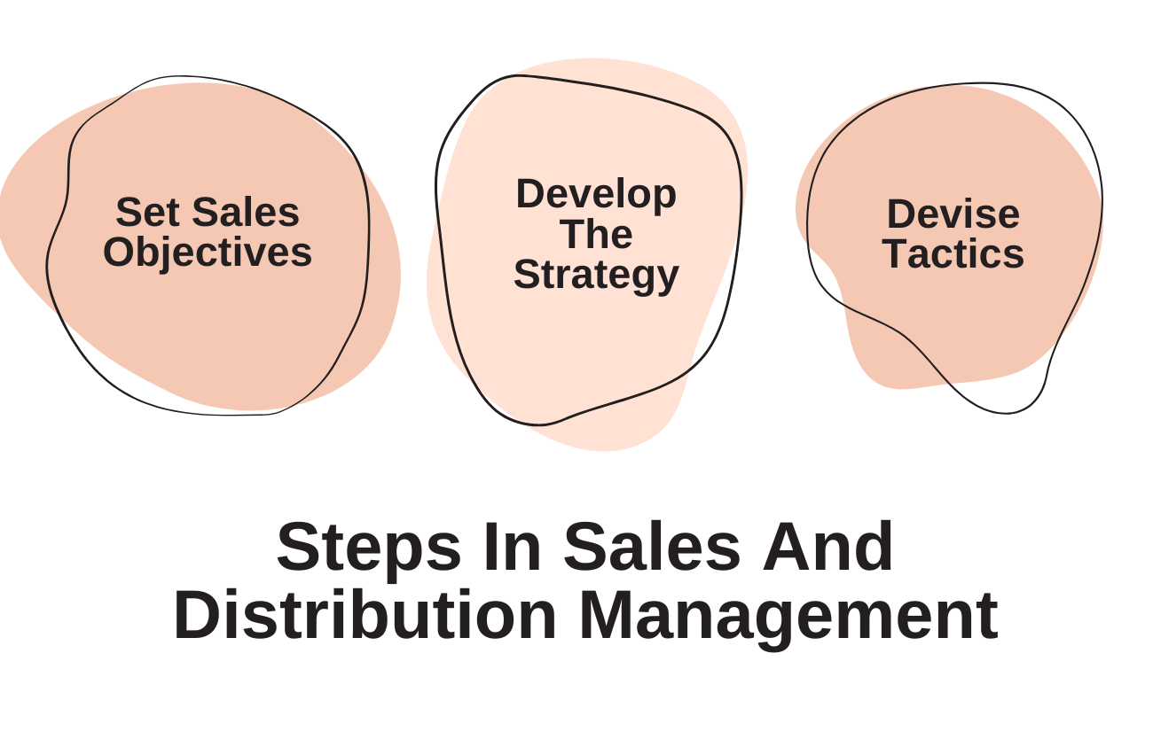 Steps In Sales And Distribution Management
