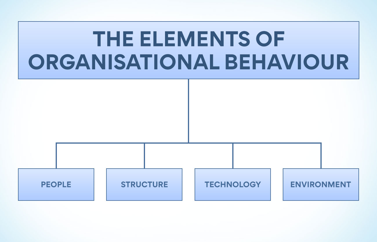The Elements Of Organisational Behaviour