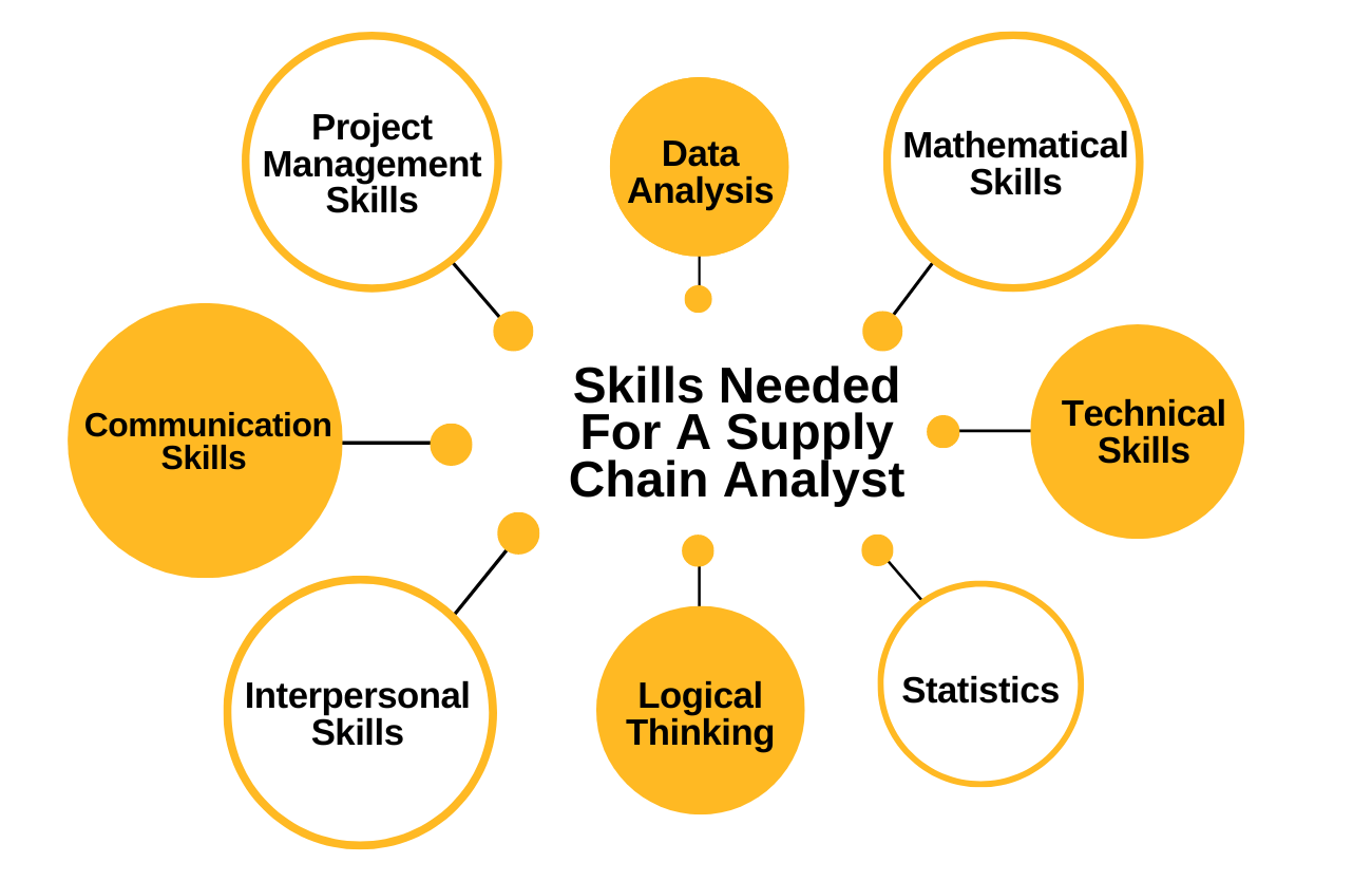 Skills Needed For A Supply Chain Analyst
