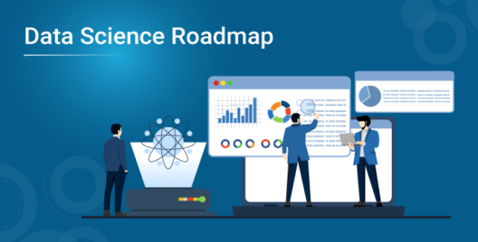 Data Science Roadmap Image