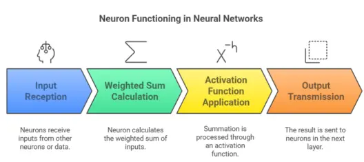 Neural-Network-Neurons