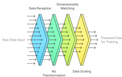Neural-Networks-Input-Layer