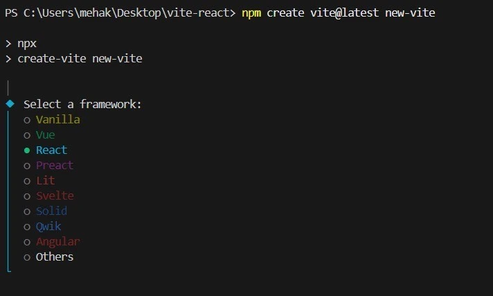 new-react-vite