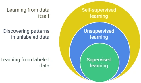 How-are-vector-embeddings-created